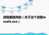 進(jìn)程是程序的（關(guān)于這個進(jìn)程tensafe.exe）