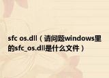 sfc os.dll（請問題windows里的sfc_os.dll是什么文件）