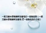 一把刀順?biāo)醒劬]眉毛打一動物名稱（一把刀順?biāo)醒劬]眉毛 打一動物名簡介介紹）