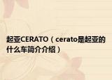 起亞CERATO（cerato是起亞的什么車簡介介紹）