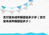 支付寶未成年限額是多少歲（支付寶未成年限額是多少）