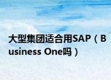 大型集團(tuán)適合用SAP（Business One嗎）