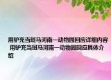 用驢充當(dāng)斑馬河南一動物園回應(yīng)詳細內(nèi)容 用驢充當(dāng)斑馬河南一動物園回應(yīng)具體介紹