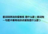 歌詞別再說你愛著我 是什么歌（歌詞有一句是不要再說你還愛我是什么歌）