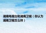 湖南電視臺(tái)和湖南衛(wèi)視（你認(rèn)為湖南衛(wèi)視怎么樣）
