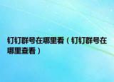 釘釘群號(hào)在哪里看（釘釘群號(hào)在哪里查看）