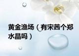 黃金漁場（有宋茜個(gè)鄭水晶嗎）