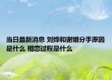 當(dāng)日最新消息 劉燁和謝娜分手原因是什么 相戀過程是什么
