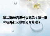 第二批90后是什么意思（第一批90后是什么意思簡介介紹）