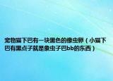 寵物貓下巴有一塊黑色的像蟲卵（小貓下巴有黑點(diǎn)子就是象蟲子巴bb的東西）