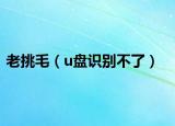 老挑毛（u盤識(shí)別不了）