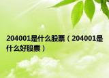 204001是什么股票（204001是什么好股票）