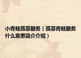 小青蛙孤寡服務(wù)（孤寡青蛙服務(wù)什么意思簡介介紹）
