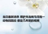 當(dāng)日最新消息 用驢充當(dāng)斑馬河南一動(dòng)物園回應(yīng) 都是幾年前的視頻