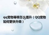 qq寵物等級(jí)怎么提升（QQ寵物如何更快升級(jí)）