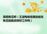 萊陽魯花吧（王淑梅收錢真的能在魯花給我安排好工作嗎）