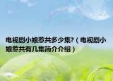 電視劇小娘惹共多少集?（電視劇小娘惹共有幾集簡介介紹）