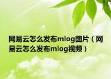 網(wǎng)易云怎么發(fā)布mlog圖片（網(wǎng)易云怎么發(fā)布mlog視頻）