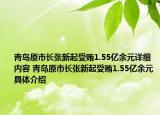 青島原市長張新起受賄1.55億余元詳細(xì)內(nèi)容 青島原市長張新起受賄1.55億余元具體介紹