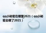 qq小秘密在哪里2021（qq小秘密去哪了2021）