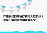 嚴(yán)重手足口病治療費(fèi)用大概多少（手足口病治療費(fèi)用需要多少）