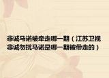 非誠(chéng)馬諾被牽走哪一期（江蘇衛(wèi)視非誠(chéng)勿擾馬諾是哪一期被帶走的）