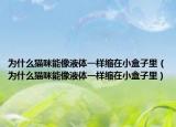 為什么貓咪能像液體一樣縮在小盒子里（為什么貓咪能像液體一樣縮在小盒子里）