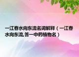 一江春水向東流名詞解釋（一江春水向東流,答一中藥植物名）