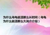 為什么烏龜能活那么長時間（烏龜為什么能活那么久簡介介紹）