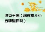 洛克王國（現(xiàn)在格斗小五哪里抓?。? /></span></a>
                        <h2><a href=