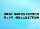 鑻規(guī)灉11鎷嶇収鏄劇ず鎵嬫満鍨嬪彿（蘋果11拍照怎么顯示手機型號）