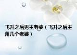 飛升之后男主老婆（飛升之后主角幾個(gè)老婆）