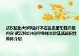 武漢檢出4份甲魚(yú)樣本霍亂弧菌陽(yáng)性詳細(xì)內(nèi)容 武漢檢出4份甲魚(yú)樣本霍亂弧菌陽(yáng)性具體介紹