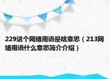 229這個網(wǎng)絡(luò)用語是啥意思（213網(wǎng)絡(luò)用語什么意思簡介介紹）