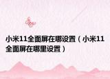 小米11全面屏在哪設(shè)置（小米11全面屏在哪里設(shè)置）