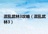 混亂武林3攻略（混亂武林3）