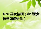 DNF巫女桔梗（dnf巫女桔梗如何進(jìn)化）