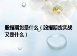 股指期貨是什么（股指期貨實(shí)戰(zhàn)又是什么）