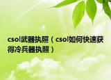 csol武器執(zhí)照（csol如何快速獲得冷兵器執(zhí)照）