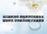 當(dāng)日最新消息 胡錫進(jìn)評爛尾樓業(yè)主強(qiáng)制停貸 盡快解決問題才是最重要