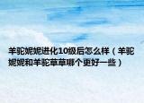 羊駝妮妮進(jìn)化10級(jí)后怎么樣（羊駝妮妮和羊駝草草哪個(gè)更好一些）