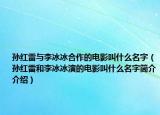 孫紅雷與李冰冰合作的電影叫什么名字（孫紅雷和李冰冰演的電影叫什么名字簡介介紹）