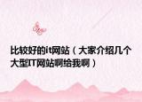 比較好的it網(wǎng)站（大家介紹幾個(gè)大型IT網(wǎng)站啊給我啊）