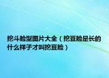 挖斗臉型圖片大全（挖豆臉是長的什么樣子才叫挖豆臉）