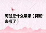 阿冊是什么意思（阿冊去哪了）