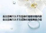 業(yè)主自籌八九千萬自救爛尾樓詳細(xì)內(nèi)容 業(yè)主自籌八九千萬自救爛尾樓具體介紹