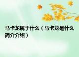 馬卡龍屬于什么（馬卡龍是什么簡介介紹）