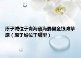 原子城位于青海省海晏縣金銀灘草原（原子城位于哪里）