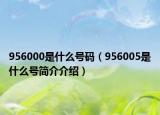 956000是什么號(hào)碼（956005是什么號(hào)簡(jiǎn)介介紹）