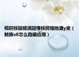 欖呮棌鎵嬫満闅愯棌鍔熻兘澶у叏（魅族v8怎么隱藏應(yīng)用）